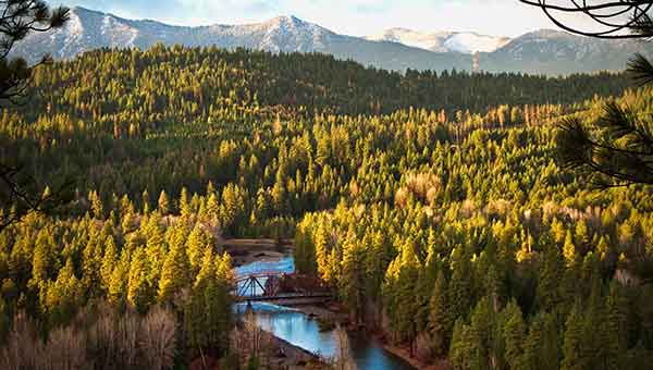 Contact Lexar Homes of Suncadia, Washington State