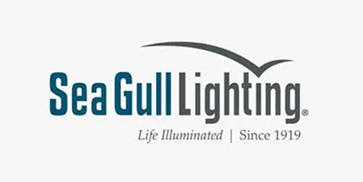 sea-gull-lightning